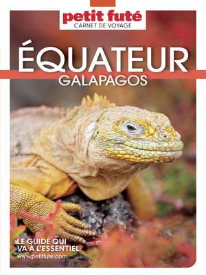 cover image of EQUATEUR 2022 Carnet Petit Futé